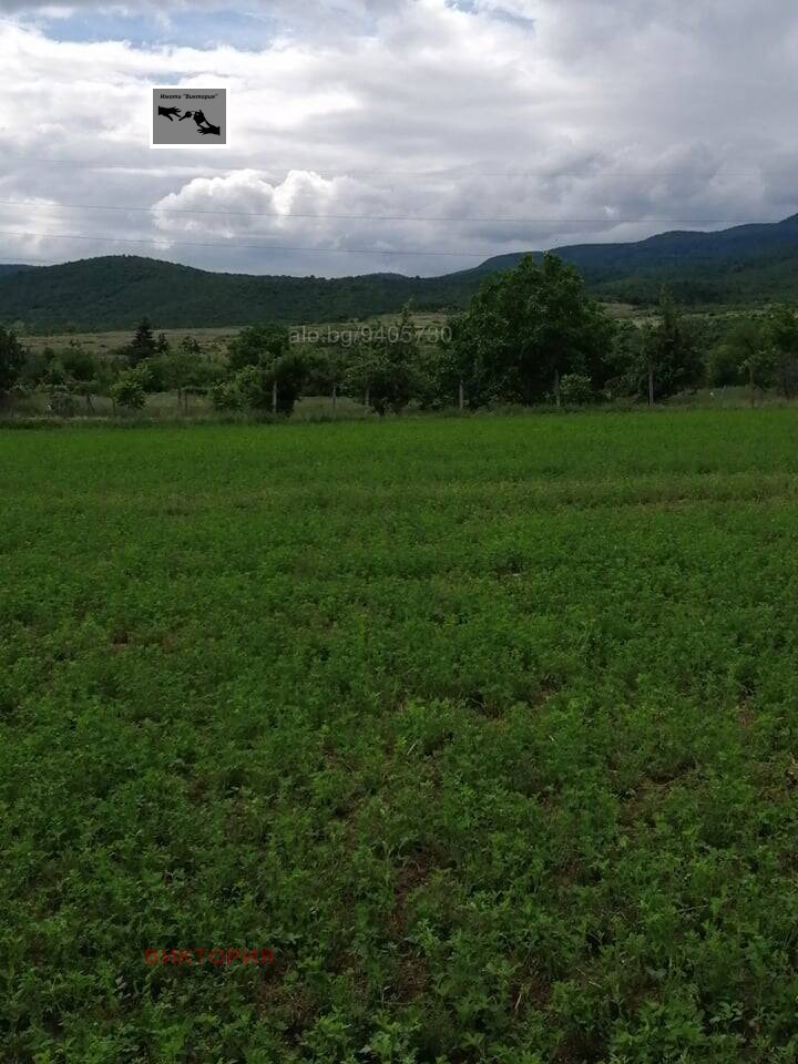 For Sale  Plot region Pazardzhik , Tsrancha , 1100 sq.m | 94278908 - image [6]