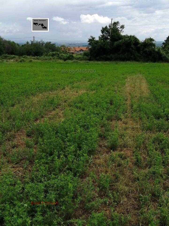 For Sale  Plot region Pazardzhik , Tsrancha , 1100 sq.m | 94278908 - image [4]