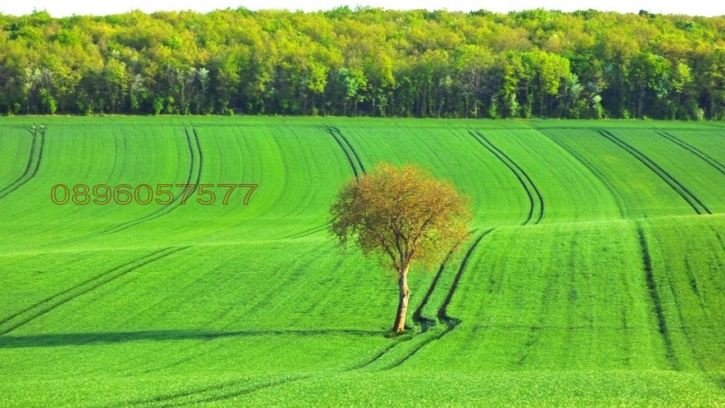 Продава ЗЕМЕДЕЛСКА ЗЕМЯ, с. Горно Александрово, област Сливен