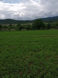 Продава ПАРЦЕЛ, с. Црънча, област Пазарджик, снимка 5