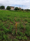 Продава ПАРЦЕЛ, с. Црънча, област Пазарджик, снимка 2