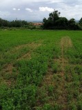 Продава ПАРЦЕЛ, с. Црънча, област Пазарджик, снимка 3
