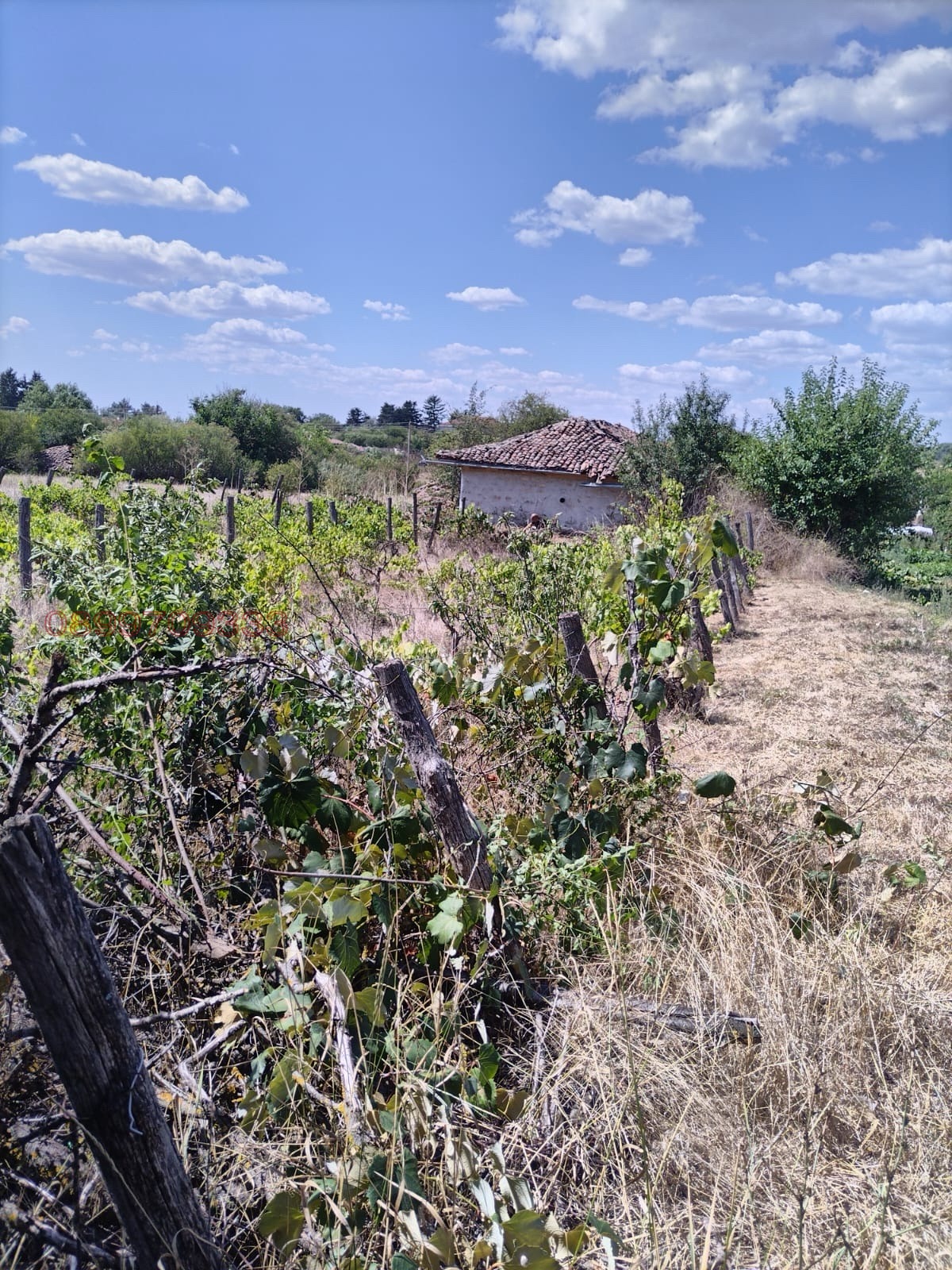 Продава ПАРЦЕЛ, с. Славеево, област Добрич