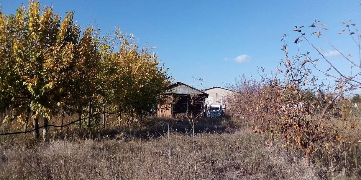 ������� ������ | Imot.bg � ����������� 2