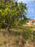 Продава ПАРЦЕЛ, с. Режанци, област Перник, снимка 13