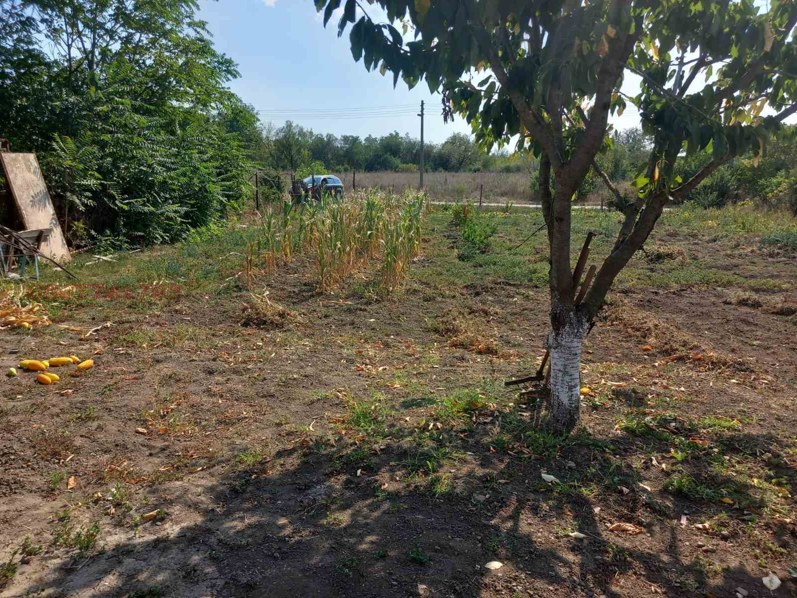 Продава ПАРЦЕЛ | Imot.bg — изображение 1