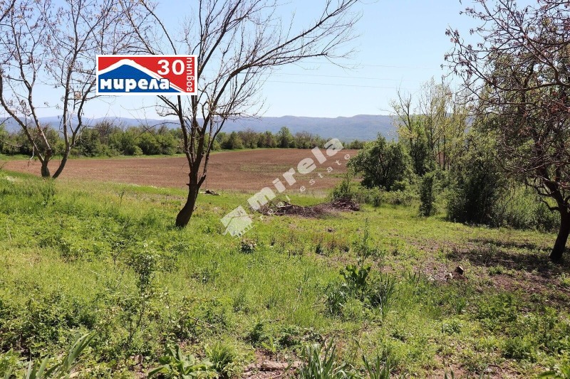 Til salgs  Hus region Veliko Tarnovo , Psjelishte , 150 kvm | 59358723 - bilde [5]