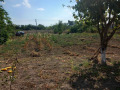 Продава ПАРЦЕЛ, с. Гурково, област Добрич, снимка 2