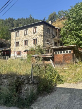 ����� ������� ����,�. ��������, ������ ������