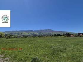 ����� ������� ������,���� �����, ���������