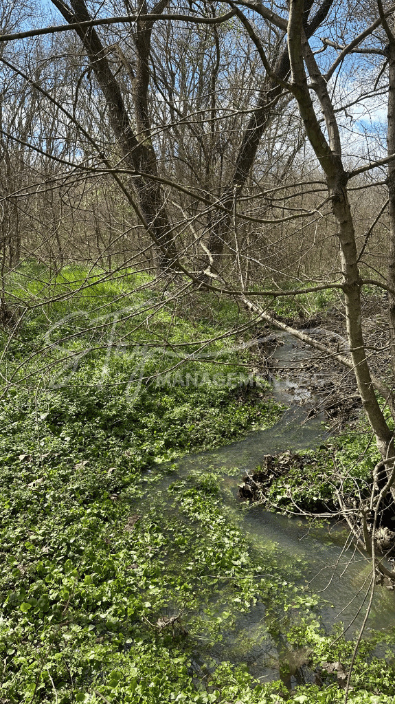 For Sale  Plot Burgas , Kraymorie , 905 sq.m | 51460478 - image [5]