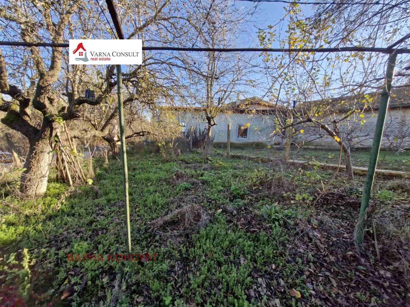 Продава КЪЩА, с. Николаевка, област Варна, снимка 2 - Къщи - 52535662