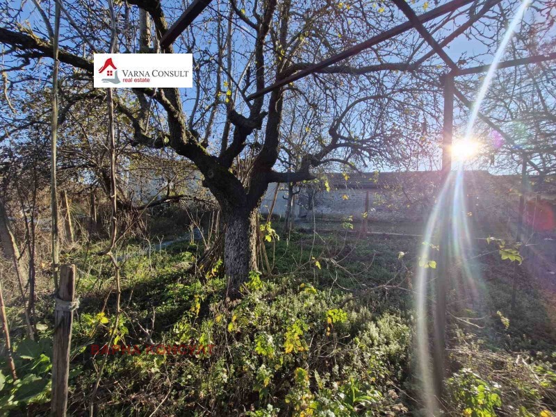 Продава КЪЩА, с. Николаевка, област Варна, снимка 3 - Къщи - 52535662