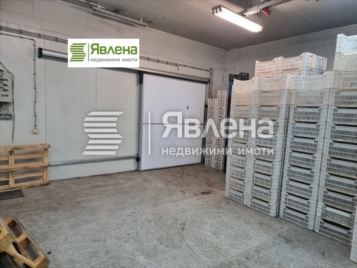 Продава ПРОМ. ПОМЕЩЕНИЕ, гр. Велики Преслав, област Шумен, снимка 7 - Производствени сгради - 53014735