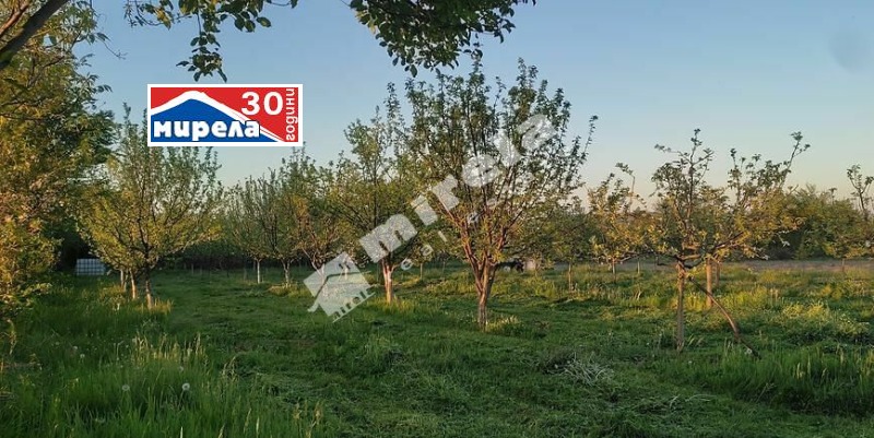 Satılık  Komplo bölge Veliko Tarnovo , Merdanya , 2032 metrekare | 75560403