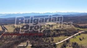 ����� ������� ������,�. �����, ������ �����