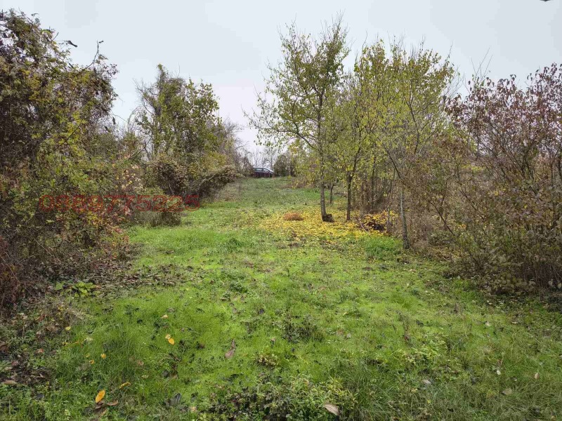 Продава ВИЛА, гр. Свищов, област Велико Търново, снимка 2 - Вили - 52783772