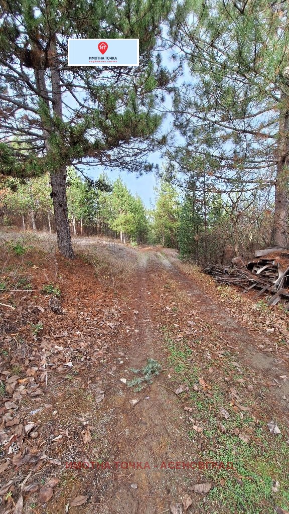 Продава ПАРЦЕЛ, с. Горнослав, област Пловдив, снимка 2 - Парцели - 52758515