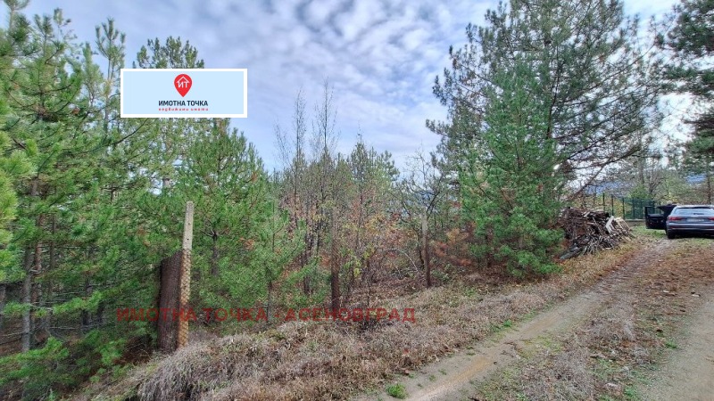 Продава ПАРЦЕЛ, с. Горнослав, област Пловдив, снимка 4 - Парцели - 52758515