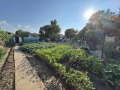 Продава КЪЩА, град София, с. Кривина • 265990 € • 40420346 — Holmes.bg