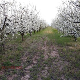 Парцел с. Караджово, област Пловдив 3