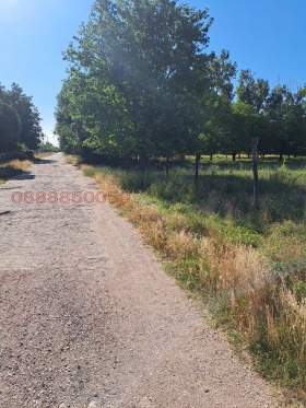 ������� ������ | Imot.bg � ����� ������ 2