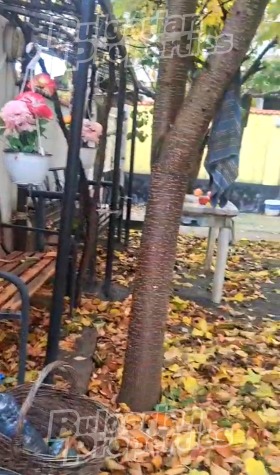 ������� ���� | Imot.bg � ����� ������ 9