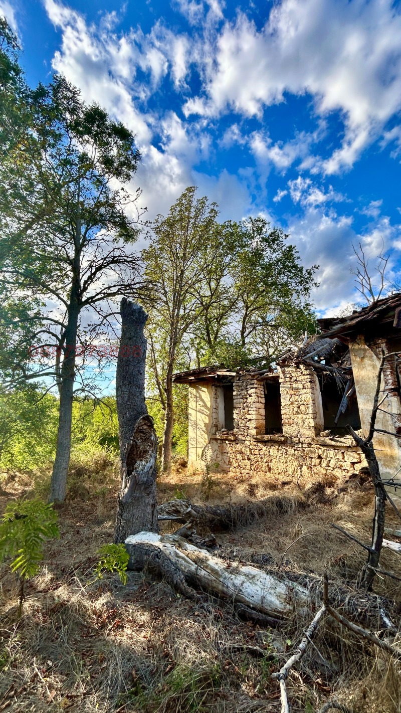 Продава КЪЩА, с. Градини, област Добрич, снимка 4 - Къщи - 52779874