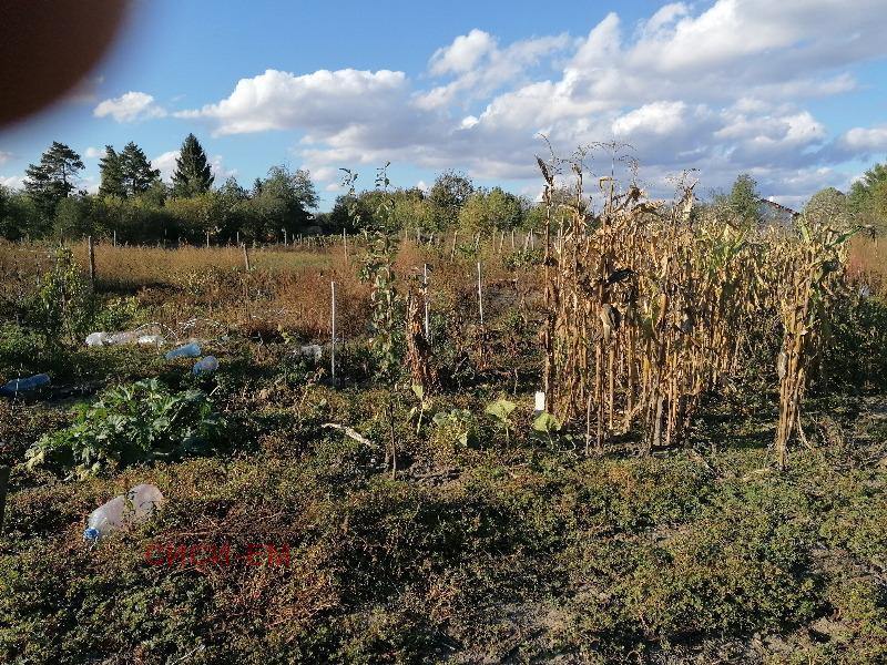 Na prodej  Dům oblast Dobrich , Kotlenci , 80 m2 | 80884988 - obraz [13]