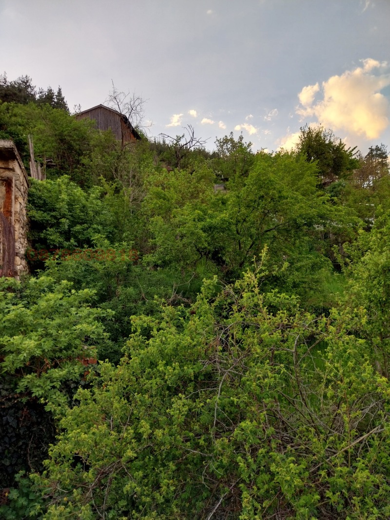 Продава КЪЩА, с. Елешница, област Благоевград, снимка 4 - Къщи - 52780215