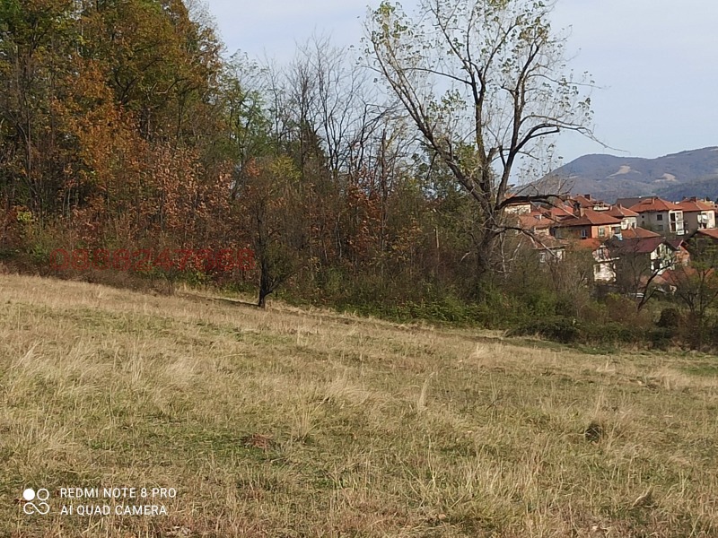 Продава ПАРЦЕЛ, гр. Берковица, област Монтана, снимка 3 - Парцели - 52782468