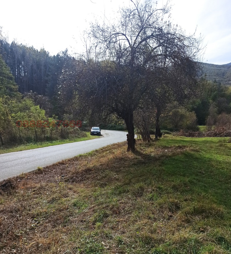 Продава ПАРЦЕЛ, гр. Берковица, област Монтана, снимка 7 - Парцели - 52782468