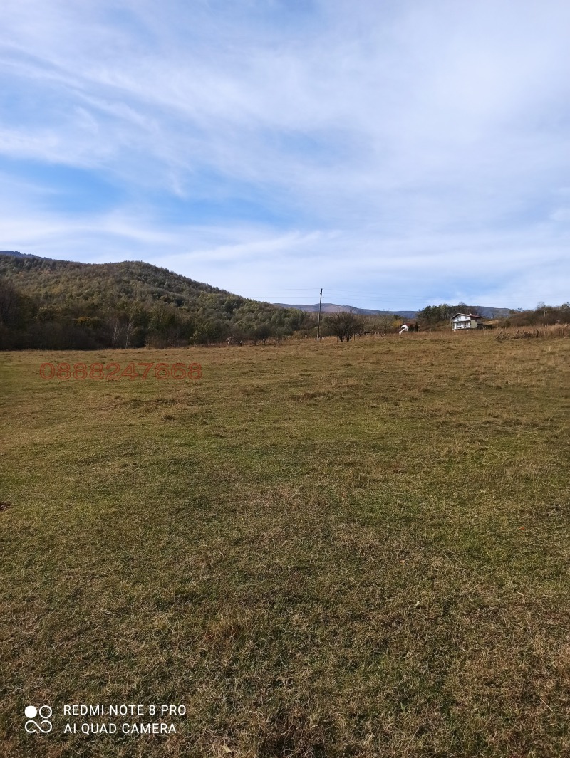 Продава ПАРЦЕЛ, гр. Берковица, област Монтана, снимка 5 - Парцели - 52782468