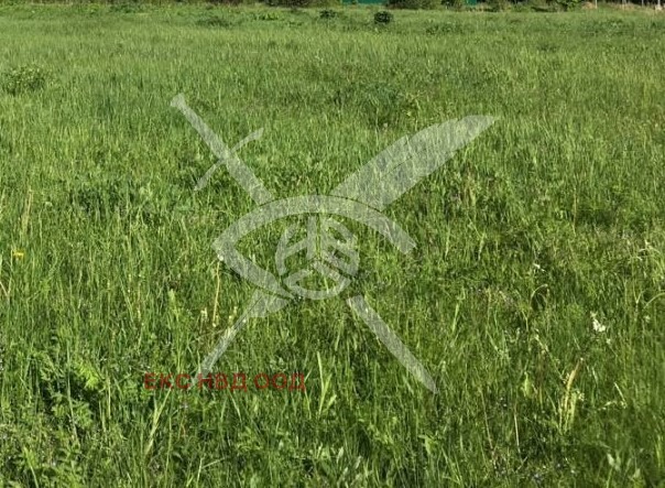 Продава ПАРЦЕЛ, област Пловдив, гр. Куклен • 140000 € • 71769299 — Holmes.bg