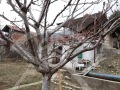 Продава КЪЩА, област Пловдив, гр. Асеновград • 42500 € • 64343536 — Holmes.bg