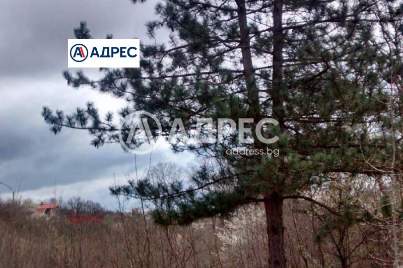 Продается  Сюжет Варна , м-т Боровец - юг , 605 кв.м | 48804368 - изображение [2]
