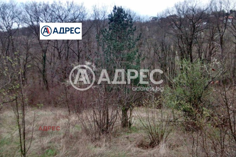 Продается  Сюжет Варна , м-т Боровец - юг , 605 кв.м | 48804368