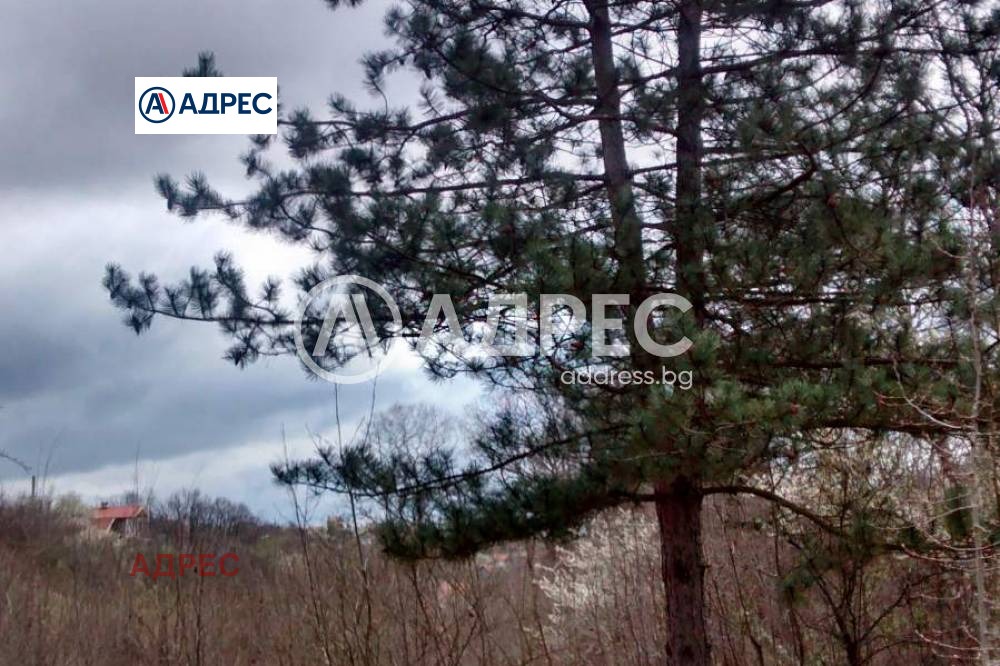 Продава ПАРЦЕЛ, гр. Варна, м-т Боровец - юг, снимка 2 - Парцели - 51287118