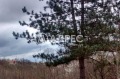 Продава ПАРЦЕЛ, гр. Варна, м-т Боровец - юг, снимка 2