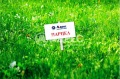 Продава ПАРЦЕЛ, град Варна, м-т Боровец - юг • 20000 € / 39116.60 лв. • 18972776 3