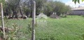 Продава ПАРЦЕЛ, област Търговище, с. Божурка • 23000 лв. / 11759.71 € • 50332985 3