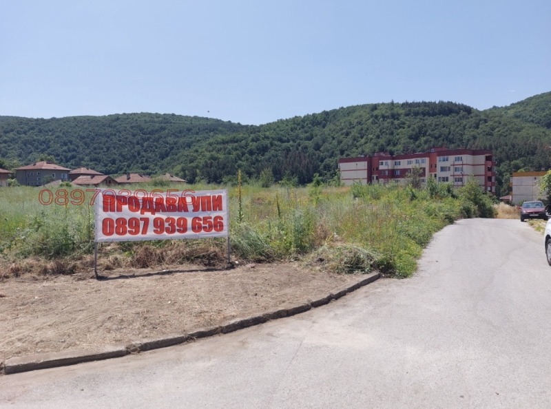 Продава ПАРЦЕЛ, гр. Брацигово, област Пазарджик, снимка 3 - Парцели - 52373623
