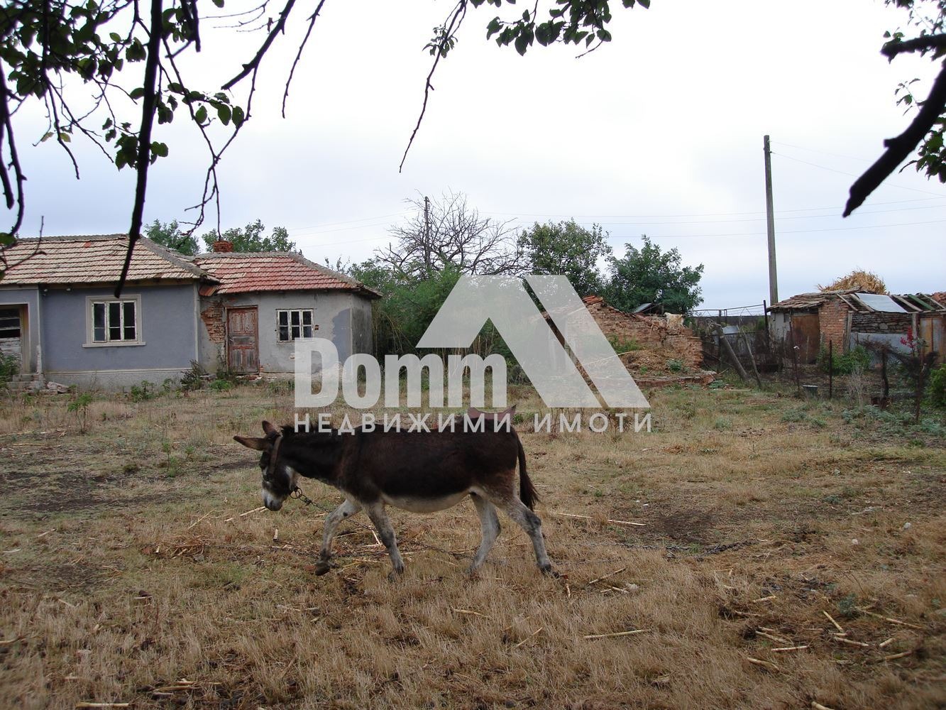 Продава КЪЩА, с. Видно, област Добрич, снимка 2 - Къщи - 52375634