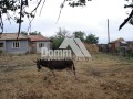 Продава КЪЩА, с. Видно, област Добрич, снимка 2