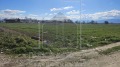 Продава ПАРЦЕЛ, с. Труд, област Пловдив, снимка 4