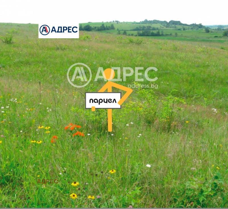 For Sale  Plot Varna , Zvezditsa , 600 sq.m | 89274662 - image [6]