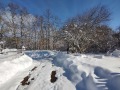 Продава КЪЩА, с. Шума, област София област, снимка 10
