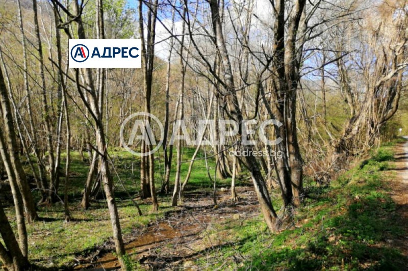 Till salu  Komplott region Blagoevgrad , Sandanski , 501 kvm | 38248184 - bild [2]