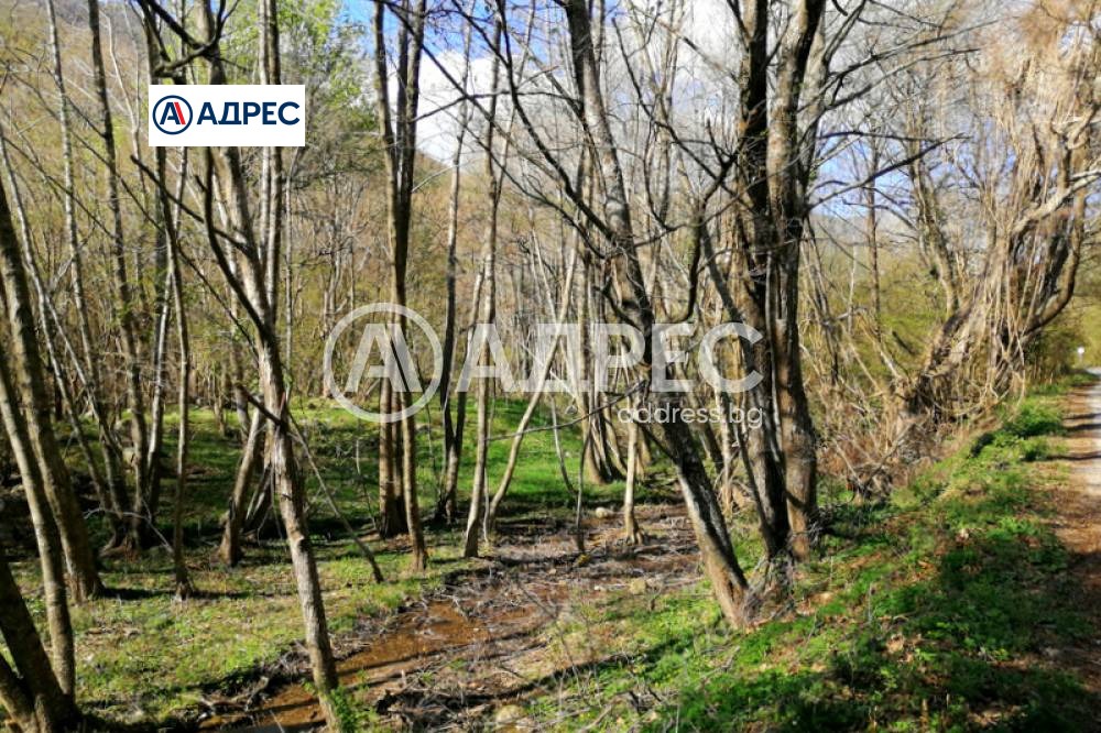 Продава ПАРЦЕЛ, гр. Сандански, област Благоевград, снимка 2 - Парцели - 51802482