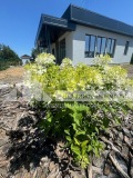 Продава  Къща област Пловдив , с. Скутаре , 144 кв.м | 50826858 - изображение [3]